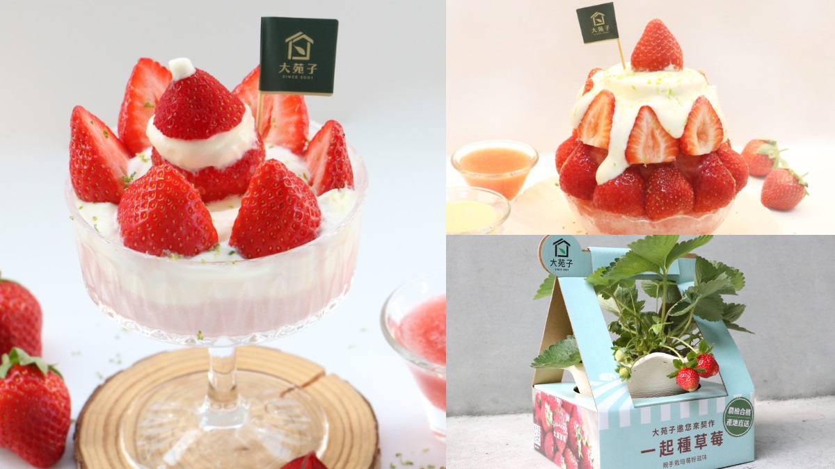 滿滿草莓+鹹奶霜最誘人！大苑子「最狂草莓季」再推2款全新冰品，還能自己種草莓【食尚玩家 20201222】
