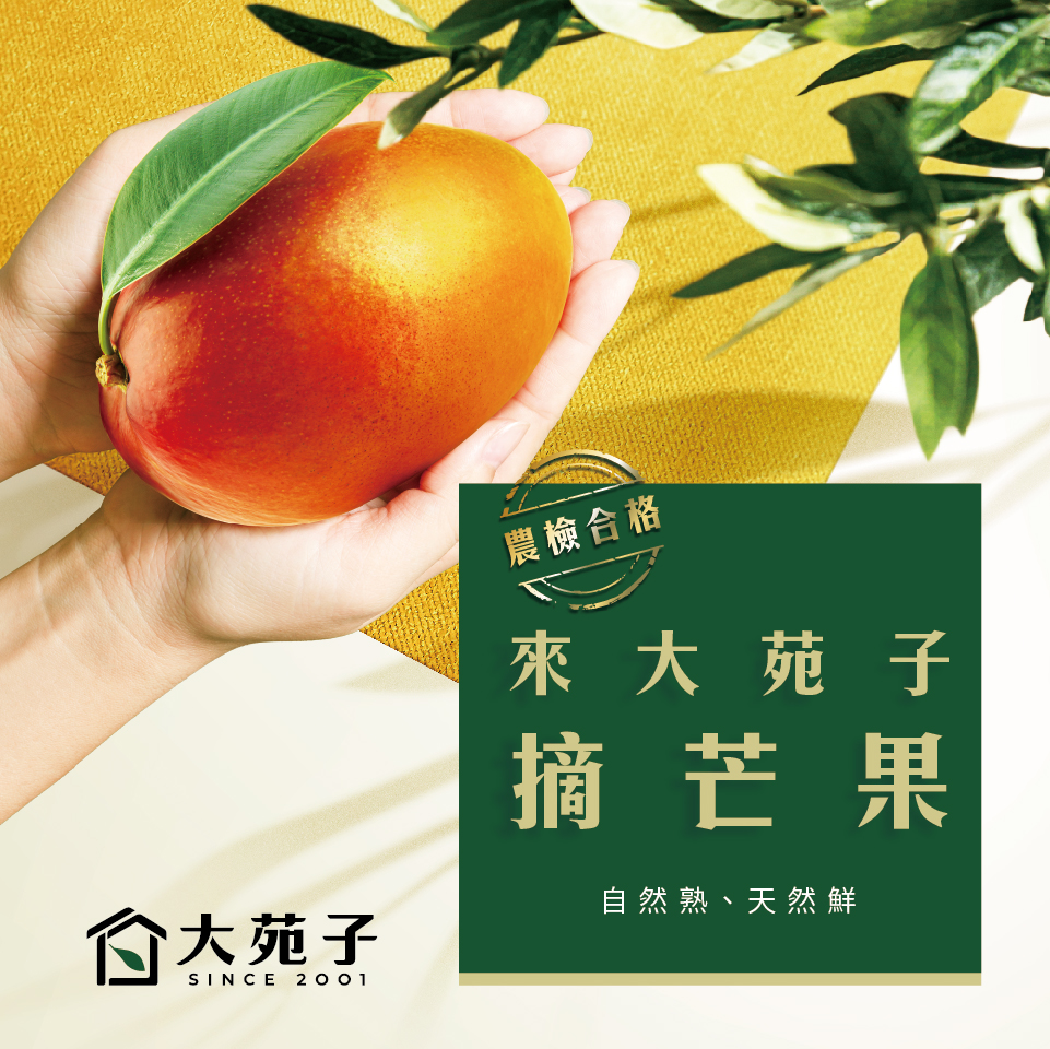 首頁飲品圖960x960-210330_來大苑子摘芒果