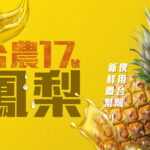 🍍【鳳梨控集合！03/16鳳梨系列全台門市開賣】
